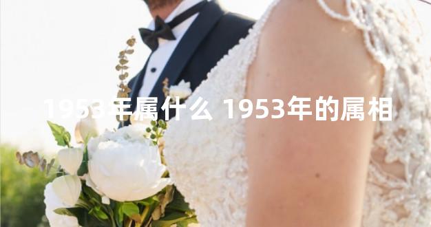1953年属什么 1953年的属相